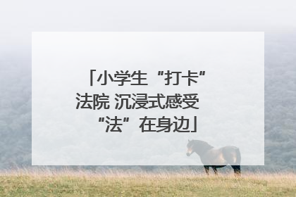 小学生“打卡”法院 沉浸式感受“法”在身边